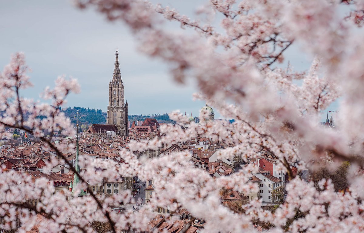 The First Audioguide to Discover Bern
